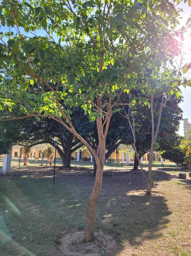Pórtico Norte Tartagal